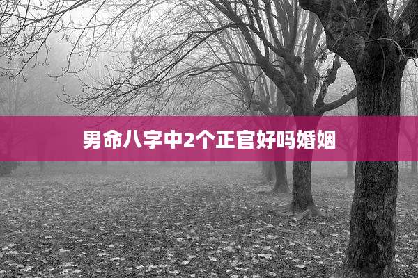 男命八字中2个正官好吗婚姻