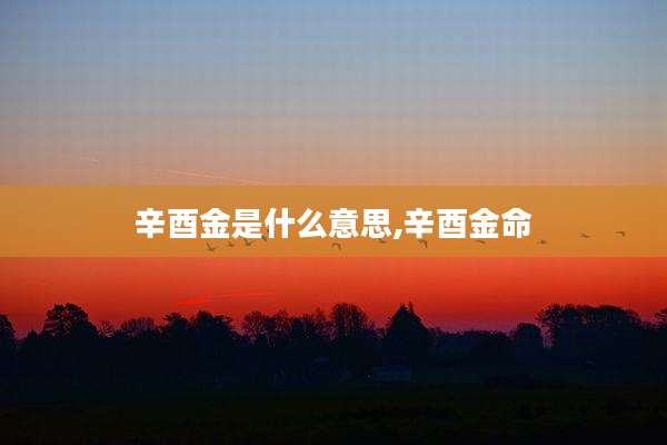辛酉金是什么意思,辛酉金命