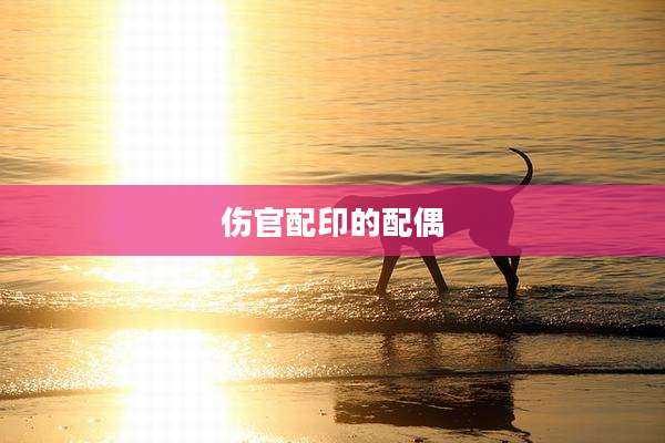 伤官配印的配偶