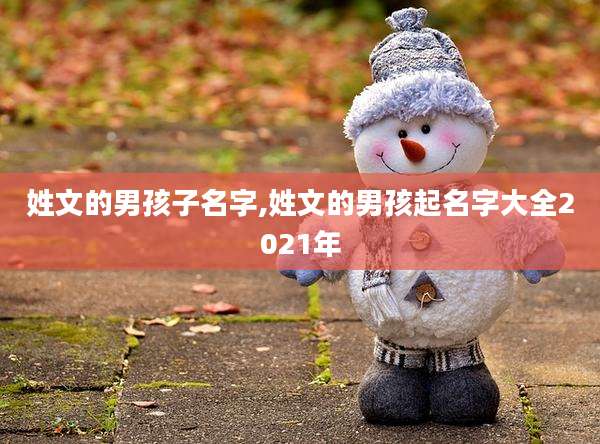 姓文的男孩子名字,姓文的男孩起名字大全2021年