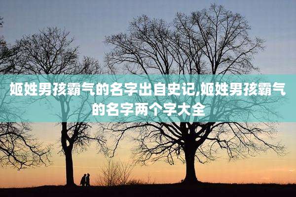 姬姓男孩霸气的名字出自史记,姬姓男孩霸气的名字两个字大全