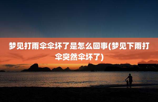 梦见打雨伞伞坏了是怎么回事(梦见下雨打伞突然伞坏了)