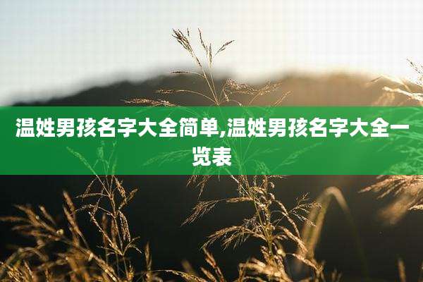 温姓男孩名字大全简单,温姓男孩名字大全一览表