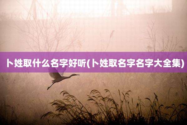 卜姓取什么名字好听(卜姓取名字名字大全集)