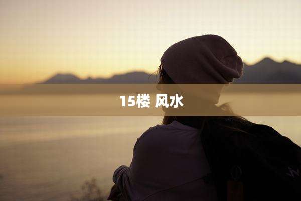 15楼 风水