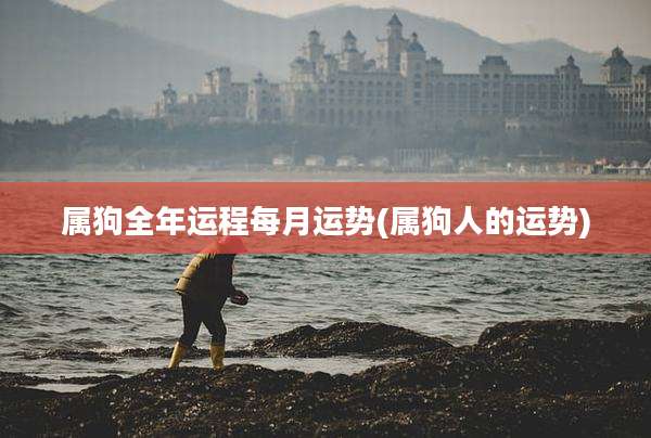 属狗全年运程每月运势(属狗人的运势)