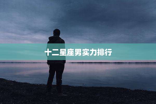 十二星座男实力排行