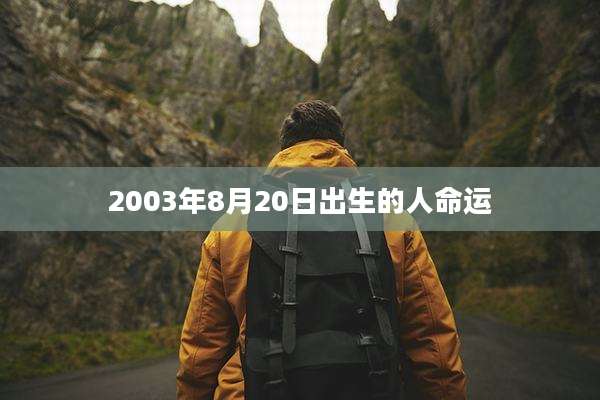 2003年8月20日出生的人命运
