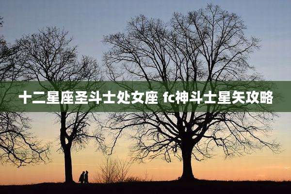 十二星座圣斗士处女座 fc神斗士星矢攻略