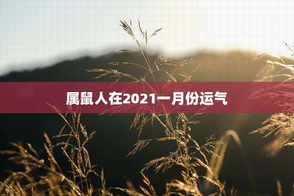 属鼠人在2021一月份运气