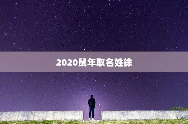 2020鼠年取名姓徐