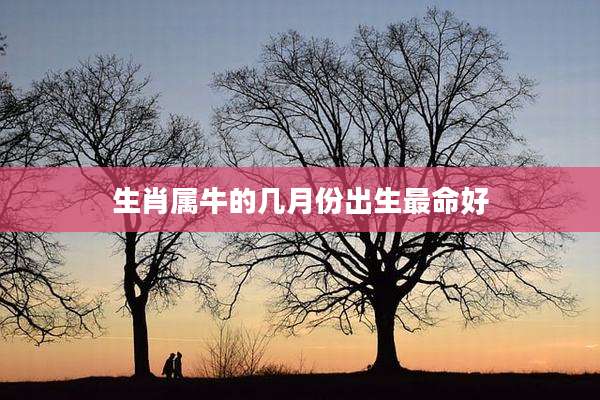 生肖属牛的几月份出生最命好
