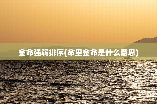 金命强弱排序(命里金命是什么意思)
