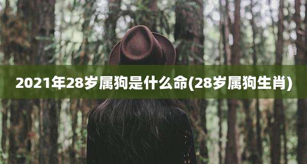 2021年28岁属狗是什么命(28岁属狗生肖)