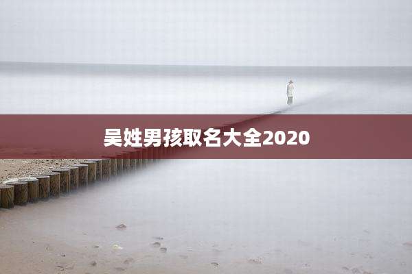 吴姓男孩取名大全2020