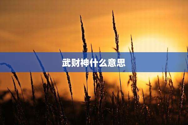 武财神什么意思