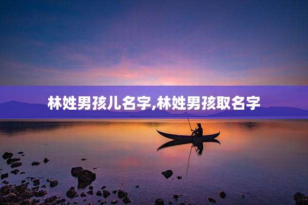 林姓男孩儿名字,林姓男孩取名字
