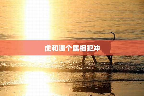 虎和哪个属相犯冲