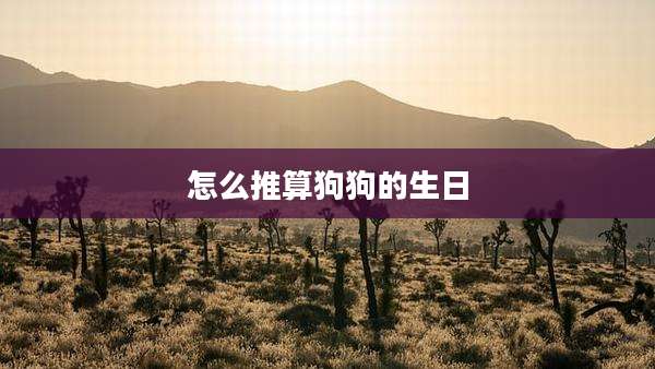 怎么推算狗狗的生日