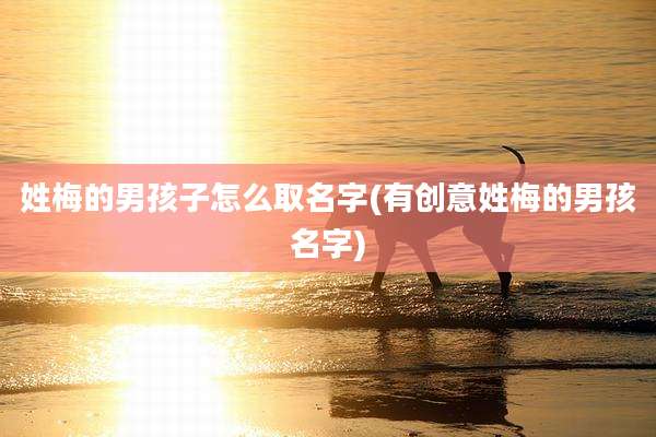 姓梅的男孩子怎么取名字(有创意姓梅的男孩名字)
