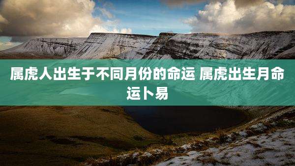 属虎人出生于不同月份的命运 属虎出生月命运卜易