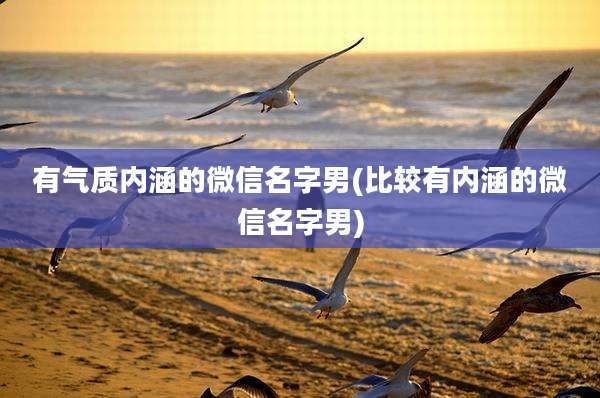 有气质内涵的微信名字男(比较有内涵的微信名字男)