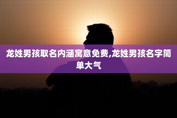 龙姓男孩取名内涵寓意免费,龙姓男孩名字简单大气