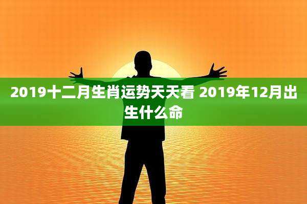 2019十二月生肖运势天天看 2019年12月出生什么命