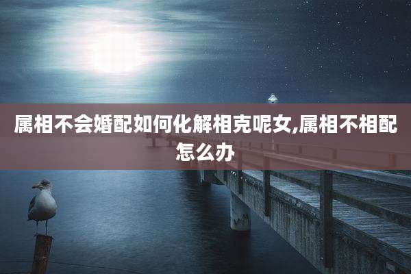 属相不会婚配如何化解相克呢女,属相不相配怎么办