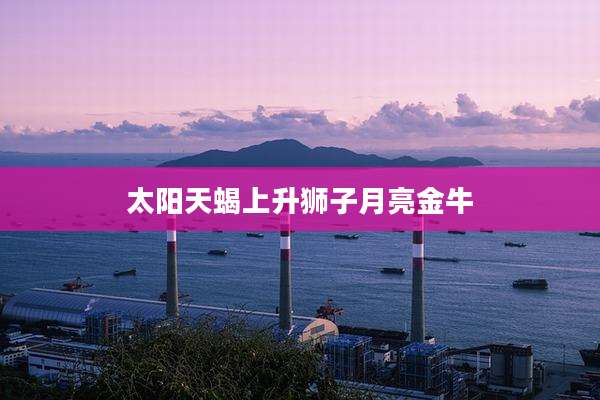 太阳天蝎上升狮子月亮金牛
