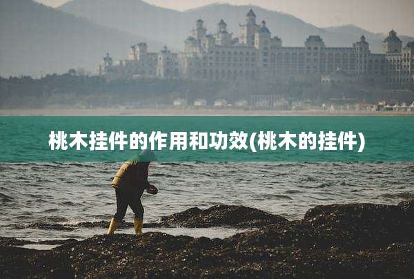 桃木挂件的作用和功效(桃木的挂件)