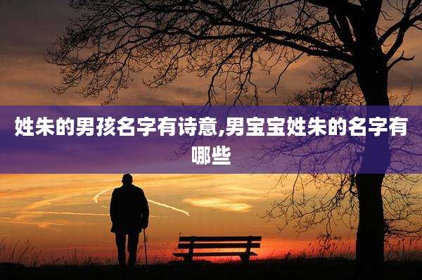 姓朱的男孩名字有诗意,男宝宝姓朱的名字有哪些