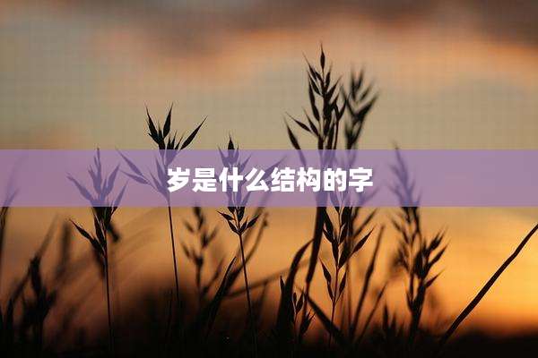 岁是什么结构的字
