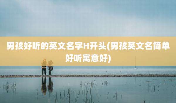 男孩好听的英文名字H开头(男孩英文名简单好听寓意好)