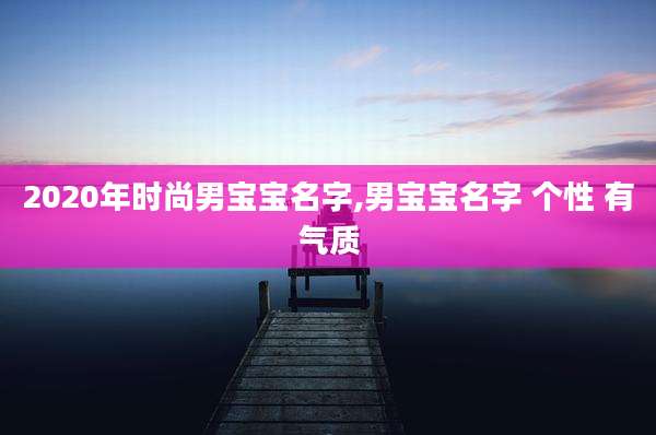 2020年时尚男宝宝名字,男宝宝名字 个性 有气质