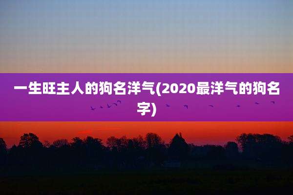 一生旺主人的狗名洋气(2020最洋气的狗名字)