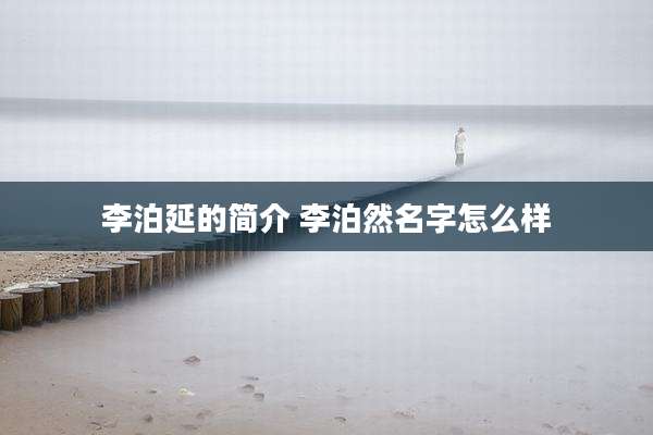 李泊延的简介 李泊然名字怎么样