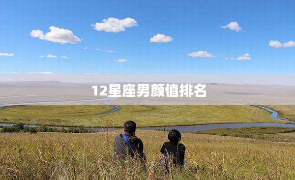 12星座男颜值排名