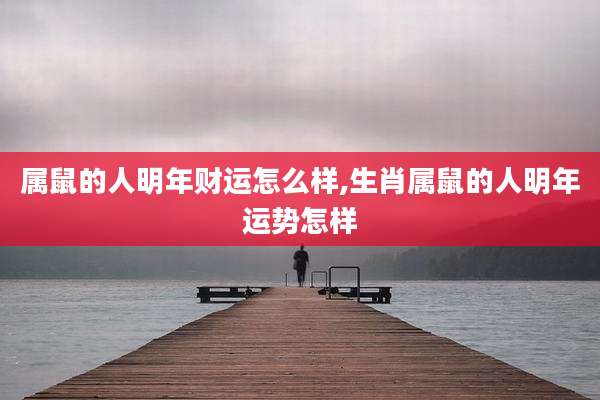 属鼠的人明年财运怎么样,生肖属鼠的人明年运势怎样