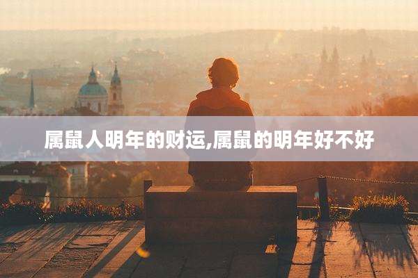 属鼠人明年的财运,属鼠的明年好不好