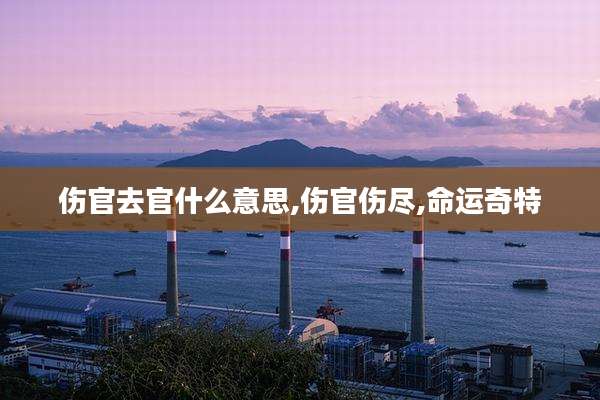 伤官去官什么意思,伤官伤尽,命运奇特
