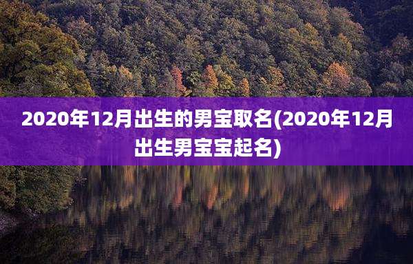 2020年12月出生的男宝取名(2020年12月出生男宝宝起名)