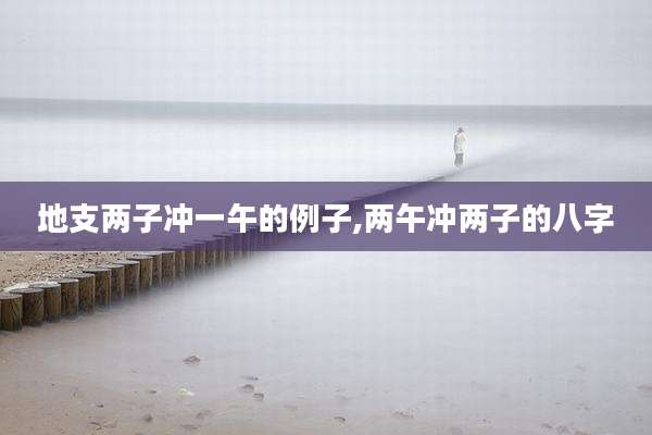 地支两子冲一午的例子,两午冲两子的八字
