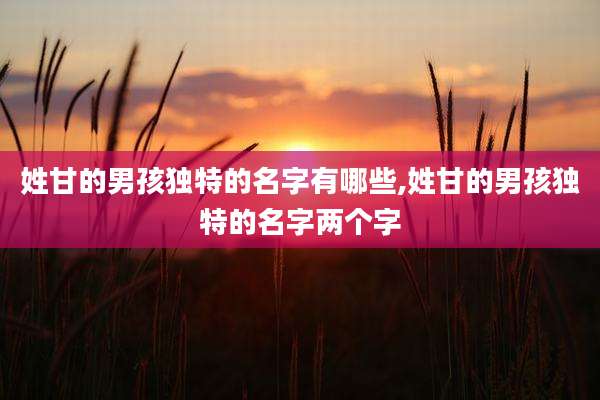 姓甘的男孩独特的名字有哪些,姓甘的男孩独特的名字两个字