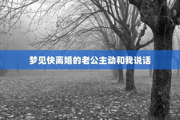 梦见快离婚的老公主动和我说话