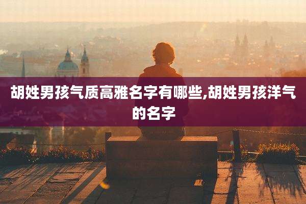 胡姓男孩气质高雅名字有哪些,胡姓男孩洋气的名字