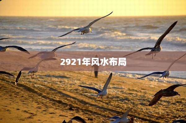 2921年风水布局