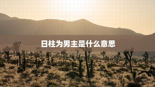 日柱为男主是什么意思