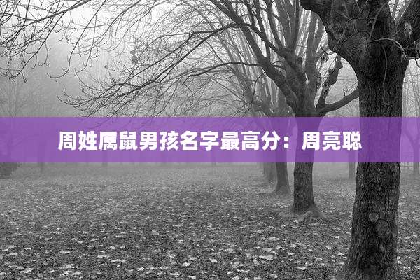 周姓属鼠男孩名字最高分：周亮聪