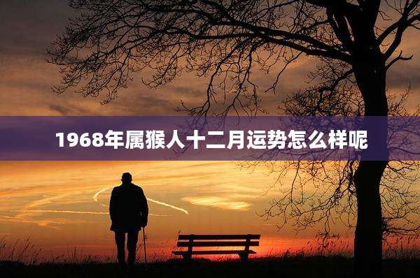 1968年属猴人十二月运势怎么样呢